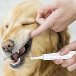 Strumento per la rimozione della placca per la pulizia orale dello spazzolino elettrico per animali domestici