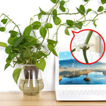 Gancio per attaccare la parete da arrampicata Lulu da 10 pezzi, 10pcs Small (White), 10pcs Medium (White), 10pcs Large (White)