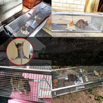 Trappola per topi con gabbia per topi per uso domestico con doppia porta, Household Mouse Cage