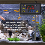 Termostato digitale con interruttore e display 12V