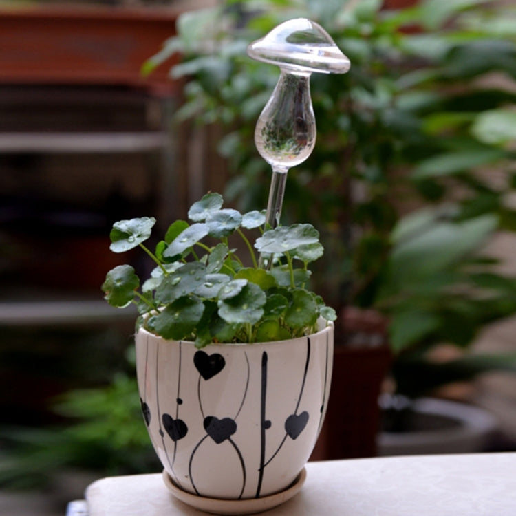 A forma di fungo piante da appartamento fiori alimentatore d'acqua dispositivi automatici in vetro trasparente con irrigazione automatica