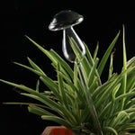 A forma di fungo piante da appartamento fiori alimentatore d'acqua dispositivi automatici in vetro trasparente con irrigazione automatica