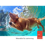 Collare elettronico impermeabile con telecomando antiabbaio per addestramento cani da 500 m