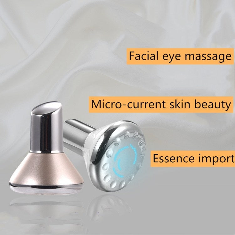 Strumento di introduzione dell'olio essenziale con maschera magnetica per vibrazione magnetica inversa piccolo con manubri