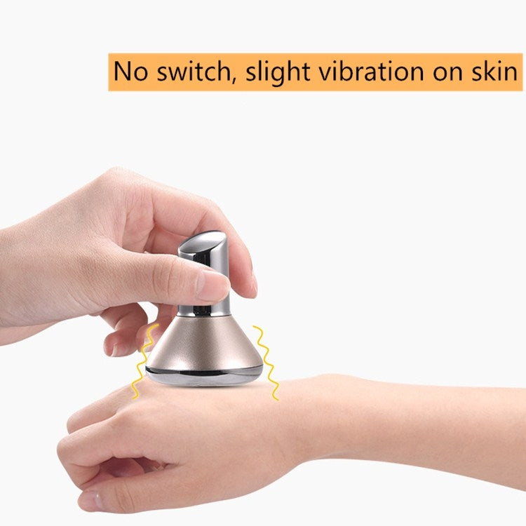 Strumento di introduzione dell'olio essenziale con maschera magnetica per vibrazione magnetica inversa piccolo con manubri