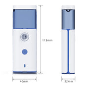 Nano Spray Water Cold Spray Face Moisture Replenisher Spruzzatore automatico di alcol portatile
