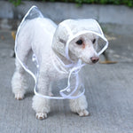 Abbigliamento impermeabile trasparente impermeabile per cani da compagnia, XS, S, M, L, XL