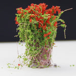 Modello artificiale fatto a mano Materiale Tavolo in sabbia Costruzione Fiore cespuglio Fiore finito