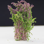 Modello artificiale fatto a mano Materiale Tavolo in sabbia Costruzione Fiore cespuglio Fiore finito