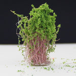 Modello artificiale fatto a mano Materiale Tavolo in sabbia Costruzione Fiore cespuglio Fiore finito