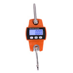 300 kg x 100 g LCD digitale portatile in acciaio inossidabile con gancio Mini bilancia elettronica a gancio, 300kg x 100g