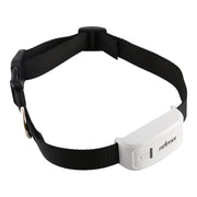 TK-909 GPS / GPRS / GSM Localizzatore di animali domestici Collare per animali domestici Dispositivo di localizzazione in tempo reale, TK-909