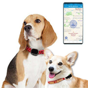 RF-V43 A Style IP67 Impermeabile GPS + LBS + WiFi Localizzatore di animali domestici Dispositivo di localizzazione per collare per animali domestici per Asia / Europa / Africa, RF-V43 A Style (Black), RF-V43 A Style (Gold), RF-V43 A Style (White)