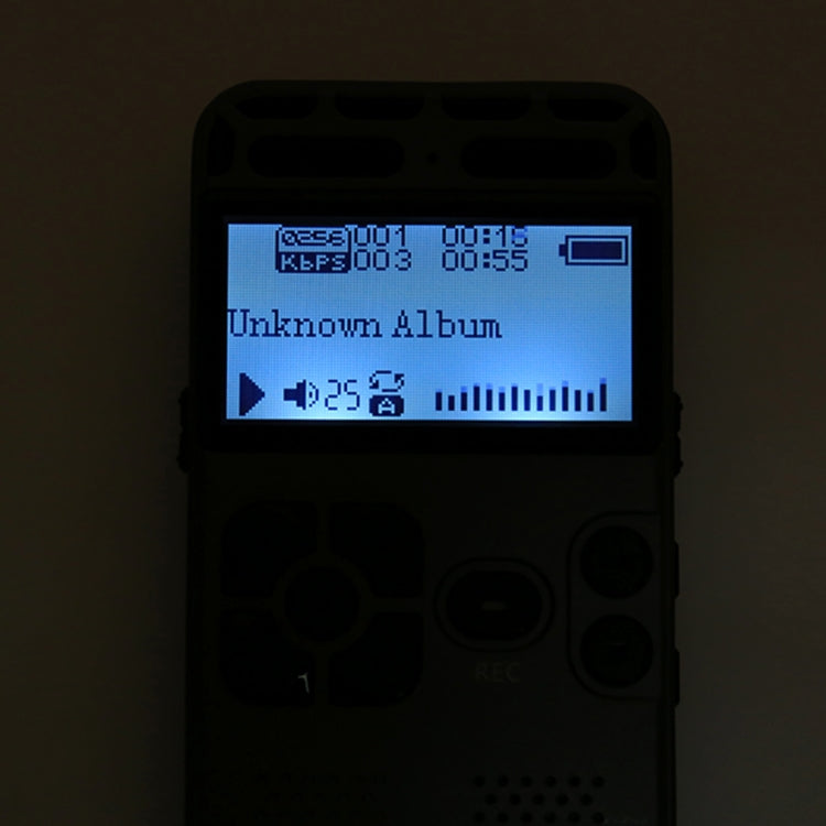 Registratore vocale portatile 8GB con riproduzione musica