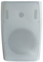 99Altoparlante da parete 2 vie 6" 100V 30W W999