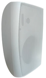 99Altoparlante da parete 2 vie 6" 100V 30W W999