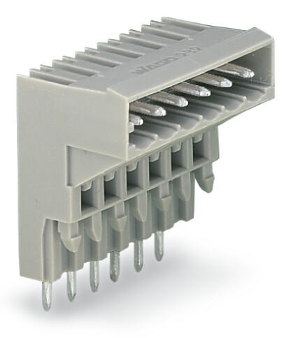 Connettore WAGO maschio 10 poli