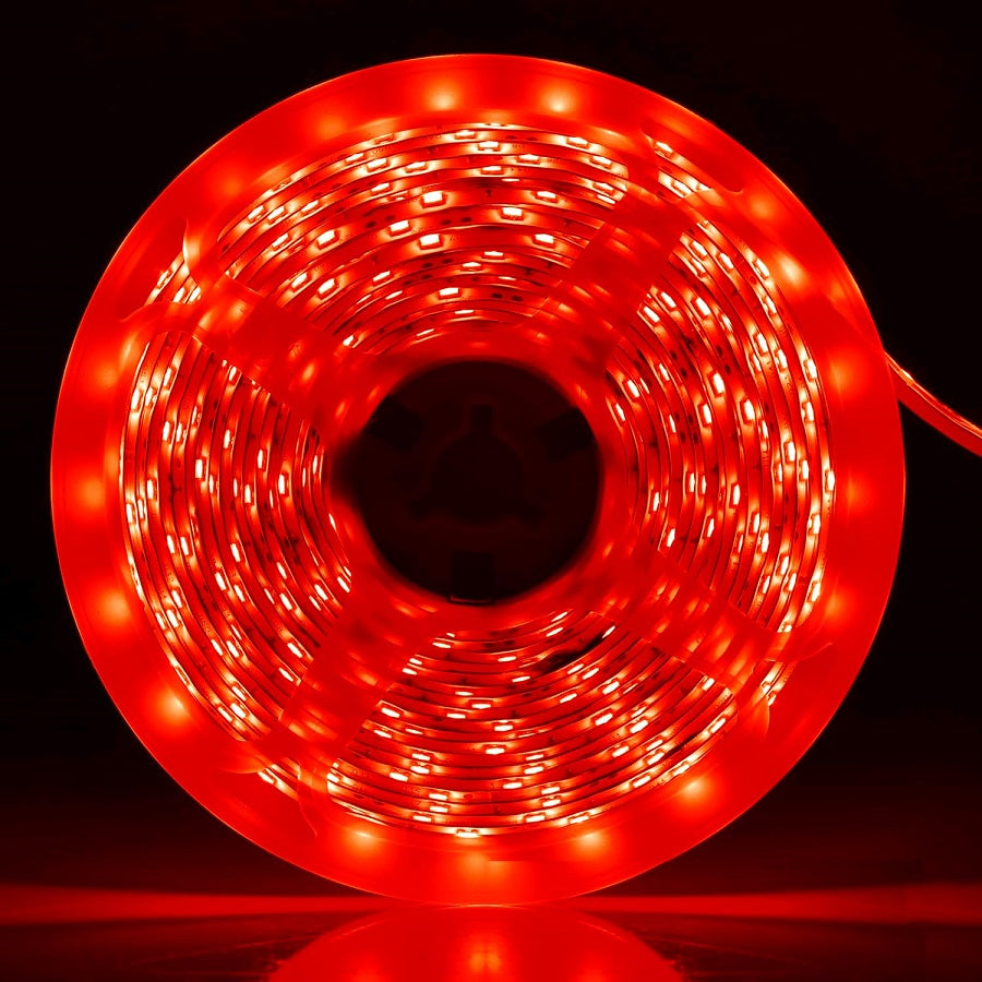 Striscia LED 12V 5 metri luce rossa 4.8W/m