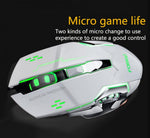 Mouse da gaming LED wireless con batteria ricaricabile incorporata bianco FV-W502 6959229900278 FV-W502 WB2260