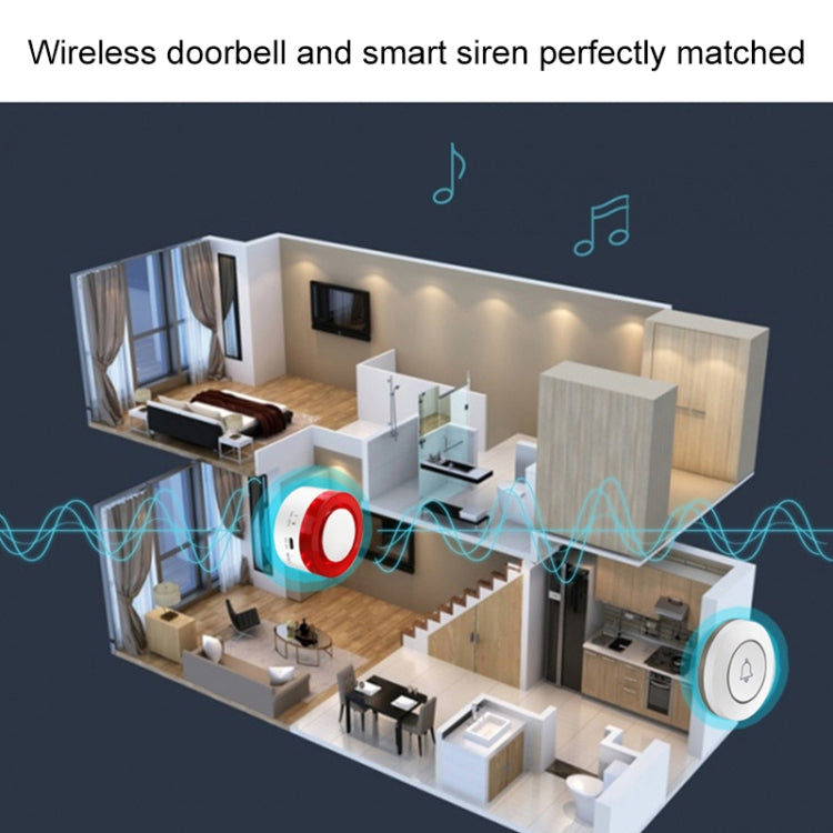 Allarme antifurto wireless DY-ML300A con pulsante