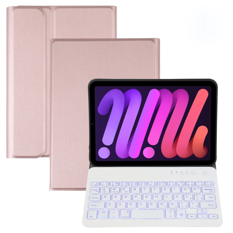 Custodia in pelle con tastiera per iPad Mini 6