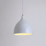 YWXLight Lampadario da ristorante Semplice e moderno Lampada da tavolo da pranzo a testa singola Fashion Aisle Living Room Bar