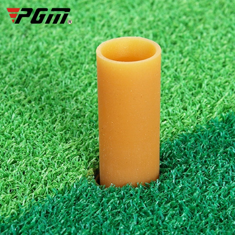 PGM Indoor Swing Practice Mat Tappetini da golf Forniture per mini golf, 30 x 60 cm Edizione normale + TEE, 30x60cm+TEE