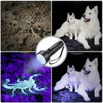 Torcia a LED UV YWXLight 51 LED 395nm, supporto per rilevare l'urina dell'animale domestico