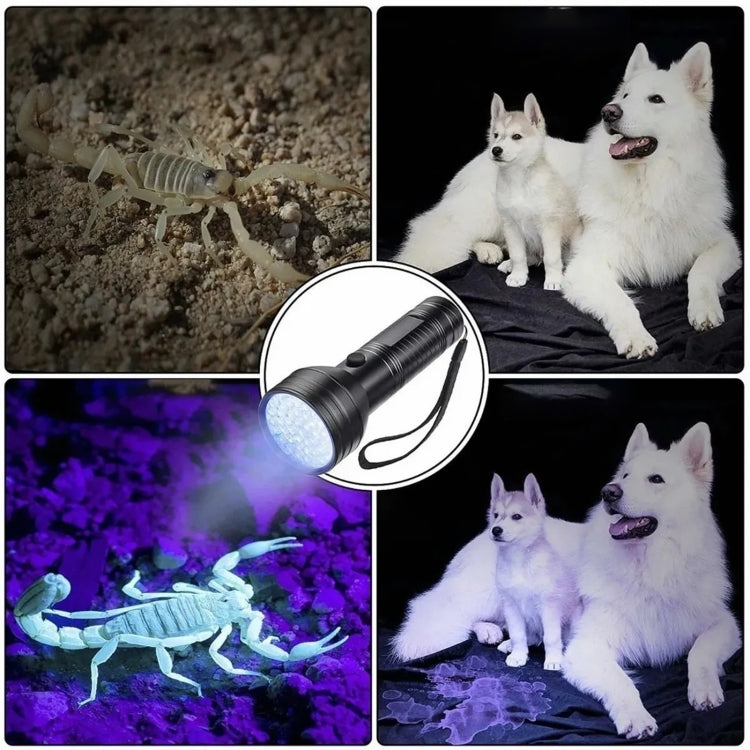 Torcia a LED UV YWXLight 51 LED 395nm, supporto per rilevare l'urina dell'animale domestico