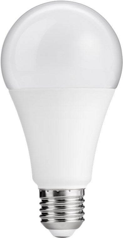 Lampadina a LED 15 W