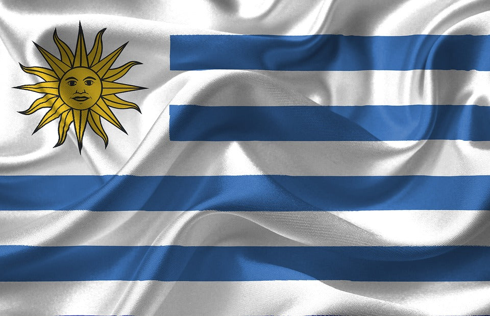 Bandiera Nazionale Uruguay 335x200cm