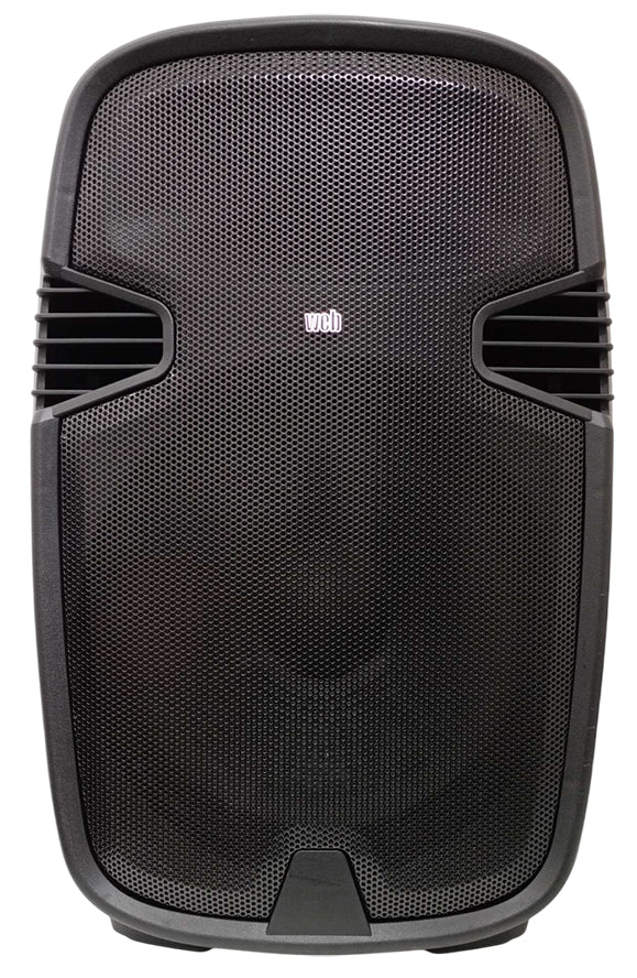 Cassa acustica passiva 100W 8 Ohm 15 pollici PP-158
